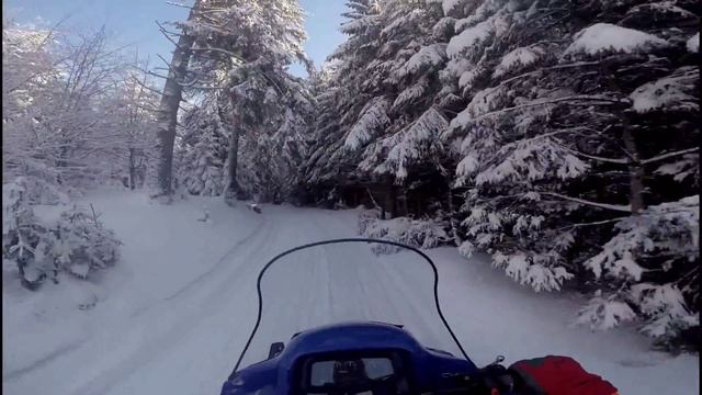 Alpina Sherpa Snowbus @Balu Adventure Park (Romania #1 Adventure Park) смотреть онлайн