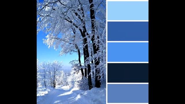 Раскрыт извечный вопрос занятия "Какого цвета снег?" смотреть онлайн