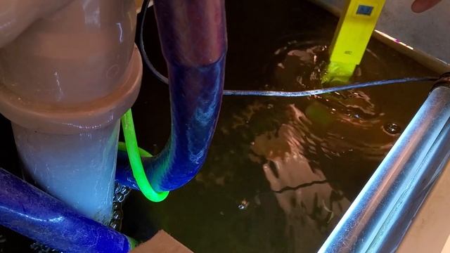 Как я переделал гидропонную установку в аквапонную, какой необходим PH воды