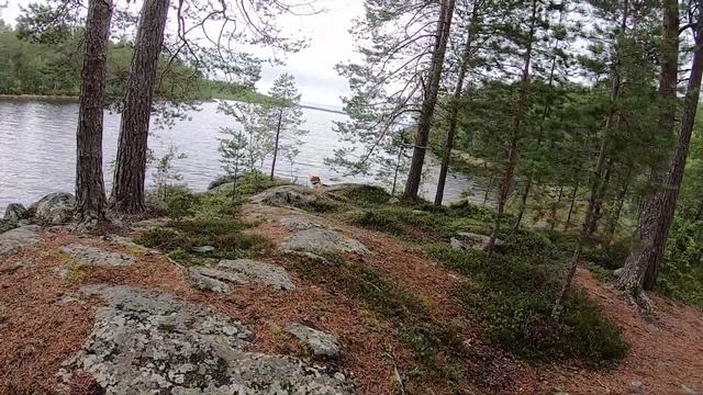 Озеро Кереть 2021 часть 2 смотреть онлайн