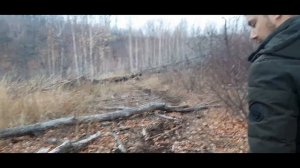 Гора Могутова и Лысая гора. Жигулёвск. Экстремальное путешествие. Часть 1)