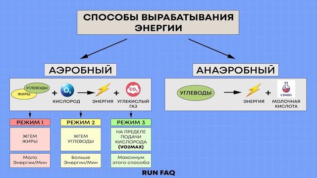 Пульсовые зоны. Аэроб и анаэроб. Пано. МПК (VO2 MAX)