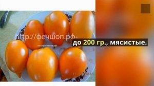 Сорта помидоров с вытянутыми плодам