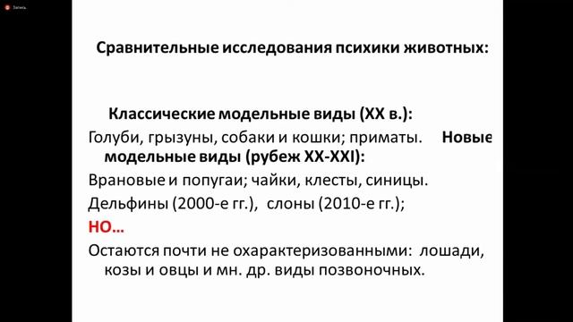Пленарная лекция ИИКН-2020 2 день: З.А. Зорина смотреть онлайн
