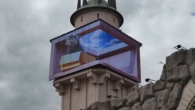 Манул на медиафасаде Московского зоопарка смотреть онлайн