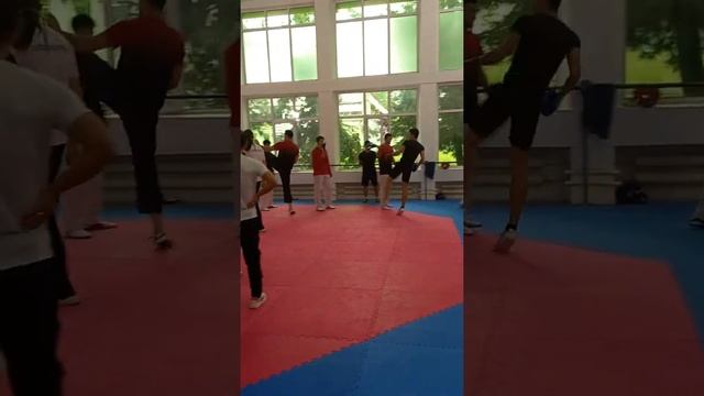 Taekwondo WT. O'zbekiston va Ozarbayjon. Таэквондо Узбекистан - Азербайджан. Azerbaijan taekwondo