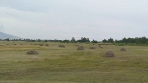 Аргада