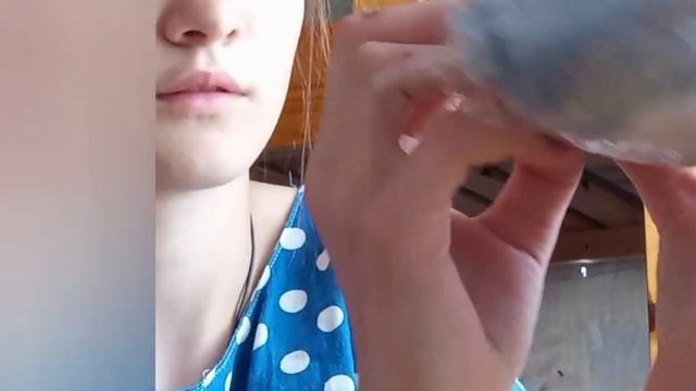 День рождения моей собаки/ распоковка подарков/торт❤️/ фотосессия с щенками мими смотреть онлайн