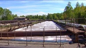 Экскурсия на биологические очистные сооружения ПЦБК