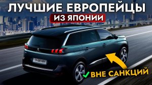 ЛУЧШИЕ ЕВРОПЕЙСКИЕ АВТО ВНЕ САНКЦИЙ❗️ Что купить из Японии в 2024