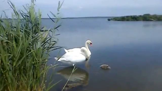 Охотниково