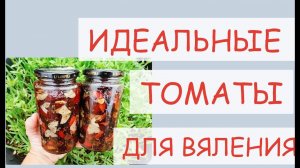 КАКИЕ СОРТА ТОМАТОВ ПРИГОДНЫ ДЛЯ ВЯЛЕНИЯ. СЕЕМ ЛУЧШИЕ СОРТА СЛИВОВИДНЫХ ТОМАТОВ ДЛЯ ТЕПЛИЦЫ