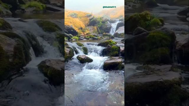 The most beautiful water fall View☺️#Amazing nature beauty💕#shortvideo#fresh water flow#youtubevide