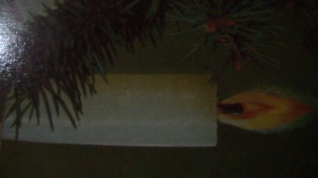 Самба белого мотылька(наброски) смотреть онлайн