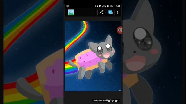 Песня Nyan Cat