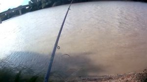 осенняя рыбалка на реке Кубань уклейка в проводку