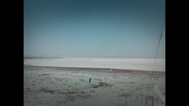 Сочный Лось Солнечные дни смотреть онлайн