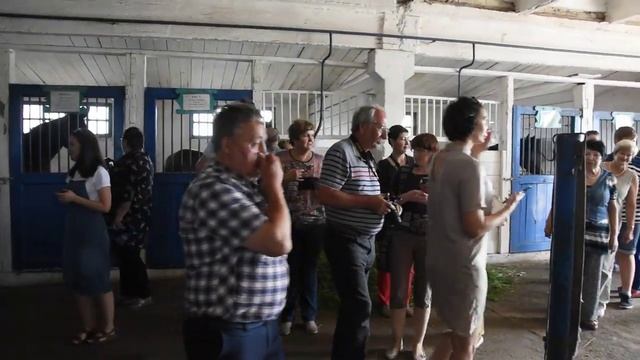 Новая Солянка.mp4 смотреть онлайн