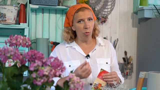 Мои любимые томаты. Дегустация 2020 смотреть онлайн