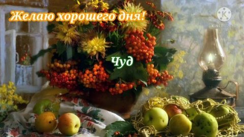 Хорошего дня и замечательного настроения! Пожелания для друзей.