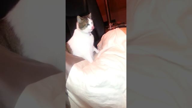 My Printer... смотреть онлайн