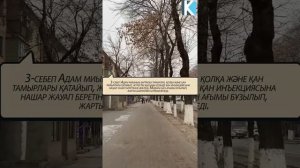 ЕСТЕ САҚТАУ НАШАРЛАУЫНЫҢ 5 СЕБЕБІ, Керек арнасы