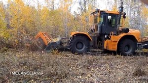 Мульчер TMC Cancela TFK 225 на базе трактора K 705