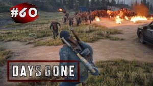 DAYS GONE (Жизнь После) ➤ Прохождение # 60 ➤ Ранчо Айрон Бьютт - Орда