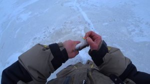 РЫБАЛКА на РЫБИНСКОМ ВОДОХРАНИЛИЩЕ / ЧТО ТВОРЯТ ЭТИ МОНСТРЫ?! ?