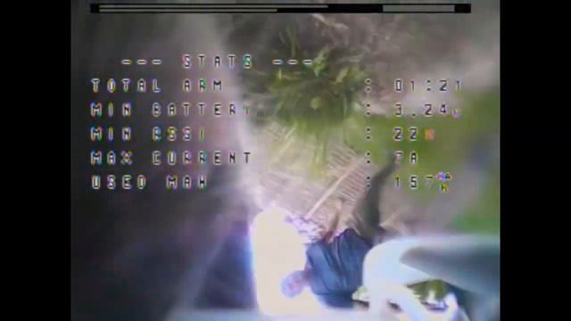 Dog steeling and running away with small drone/ Tinywhoop [FPV Freestyle] смотреть онлайн