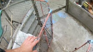 Бассейн для нутрий.