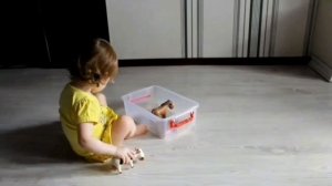 Развитие ребенка, 1 год и 2 месяца. Что умеют двойняшки в один год и два месяца. Проверка знаний.