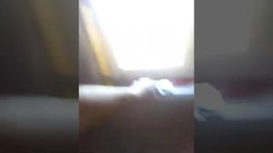 Отделка стен стеновыми панелями.