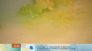 Польза и вред сельдерея