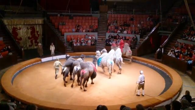 Верблюды "Цирковое Белое Солнце пустыни" (И. Корчагин) смотреть онлайн