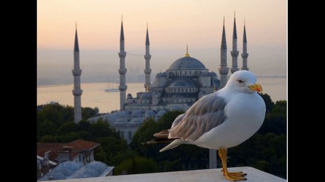 6. Богобоязненность и благонравие. Истинная суть богобоязненности.