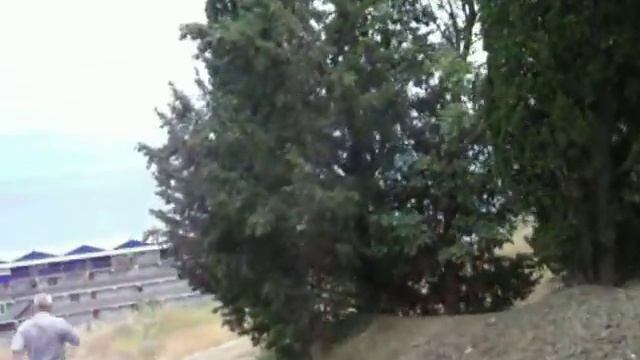 Земельный участок в Алуште.AVI