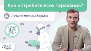 Уничтожение тараканов: как истребить? Грамотная обработка от тараканов | Дезинсекция | Дезинфекция