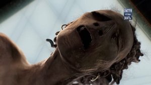 Тайна кричащей мумии! Кто он? Почему он кричит? Это сын фараона!