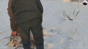 Разделка домашнего оленя  Butchering a domestic deer  Подпишитесь на канал Subscribe to the channel
