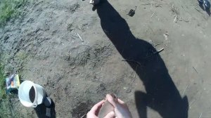 Нарвались на клёв леща. Обзор силикона от "Просто" - рыболовные товары.