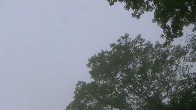 04_05_2016_ЛЕСОПАРК_микрорайон БЫТХА_СОЧИ.mp4 смотреть онлайн