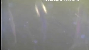 блесна на корюшку и зубаря  с высоким ЭМС из двух металлов