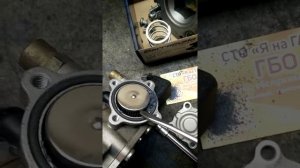 Ремонт редуктора SHARK 1200