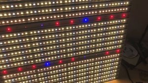 Фитолампа для гроубокса 50х50см, 200Вт.  Светодиоды Samsung LM561C, Semileds, Cree
