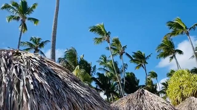 Доминикана, Карибское море, отель 5 звезд.#shorts