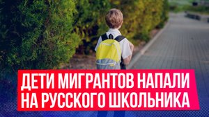 За школьника, на которого напали дети мигрантов, заступился прохожий