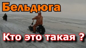 Кто такая бельдюга?