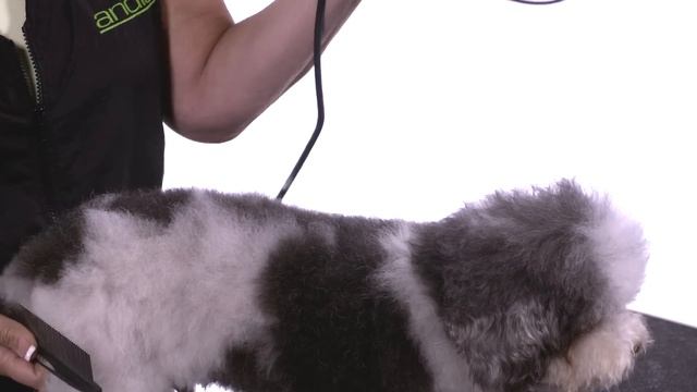 How To Use Attachment Combs - How to Groom Dogs with Andis смотреть онлайн