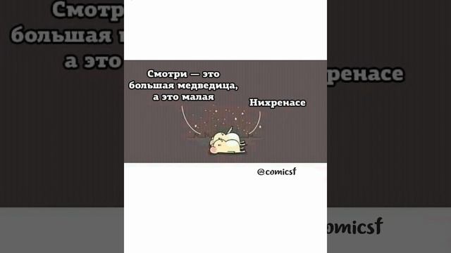 большая и малая Медведица